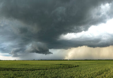 Meteorologia i hydrologia w Warszawie